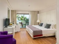 Hillstone Bodrum Hotel & Spa Hotels near Oasis Mall