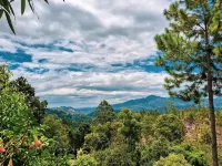 Velora Hill Ella | Panoramic Hilltop Stay #102 - Balkon