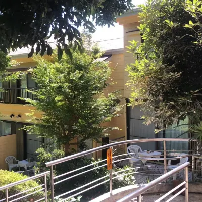 伊道荘園 蓮着寺周辺のホテル