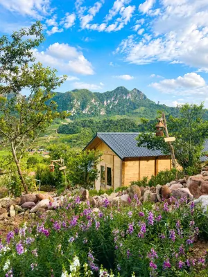Thanh Thoi Homestay - pet friendly