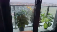 Ankara Esenboğa Airport Luxury Suite - 2성급