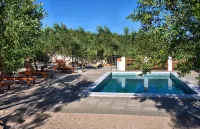 Olive - Pool, Jacuzzi - Tvrdic Honey Farm Hotels in Grohote