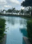 Green Haven - Infinity Pools