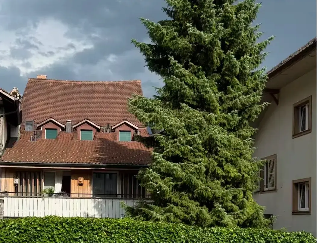 Apartment In Interlaken - Interlaken