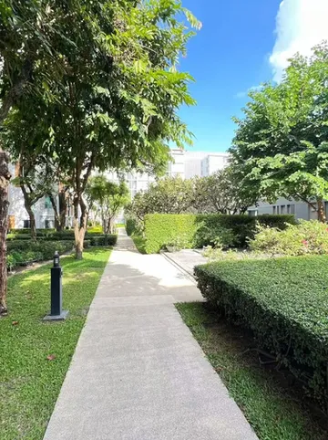 รูปภาพของD condo sign 清迈 9月大优惠每晚只需399