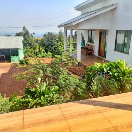 Ruhija Gorilla Guest house