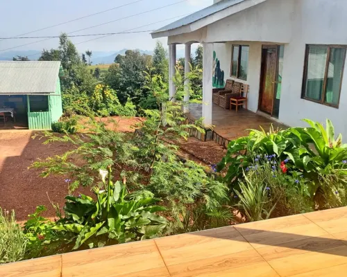 Ruhija Gorilla Guest house Hotels in Rubanda
