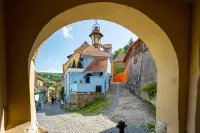 Blue House Citadel Elite Sighisoara Hotels in 