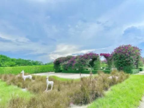 Casa Forest Modern Suites at Forest City JB