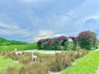 Casa Forest Modern Suites at Forest City JB