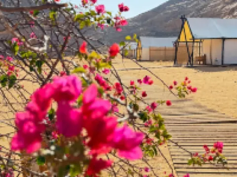 26 North Al Ula by Prime Hotels Hotels in Al Ula