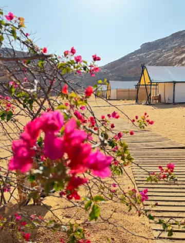 26 North Al Ula by Prime Hotels