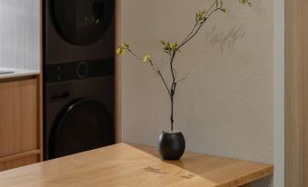 [apm 5 minutes] 'LIGHT HOUSE 249' DDP Myeong-dong Dongdaemun