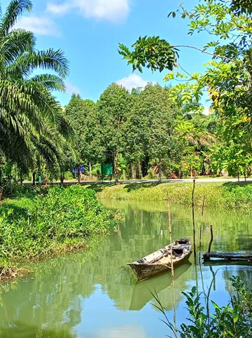 รูปภาพของกระโสมโฮมสเตย์