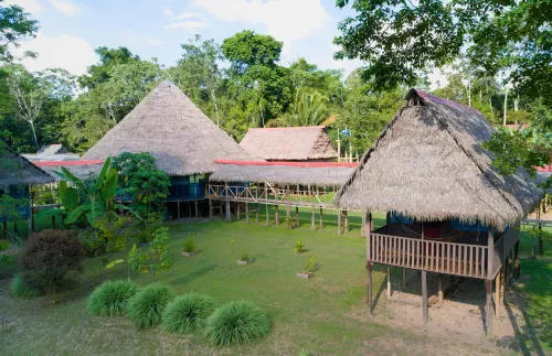 Amazon Curassow Lodge and Expeditions - Homestay