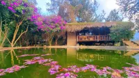 Hello Mu Cang Chai Homestay - Tours Hotels in Tu Le