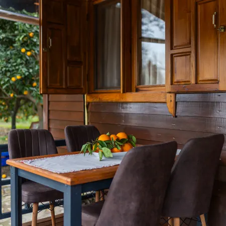 Holiday House Dilek Cirali