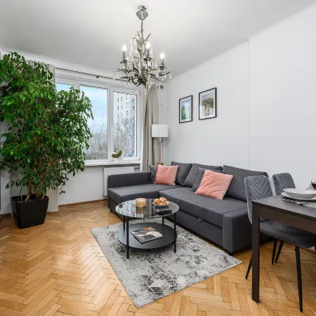 Lumina 3 room apart near Łazienki Królewskie