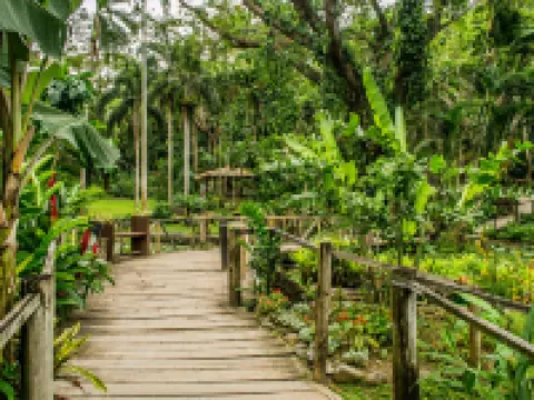 The Fiji Orchid Hotels in Vuda