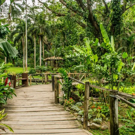 The Fiji Orchid Отели рядом с достопримечательностью «Гарден оф Слипинг Джайант»