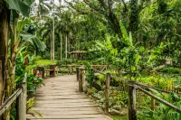 The Fiji Orchid Hotels in Beachcomber Island