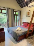 Forest Stay & Highland Culture in Danang
