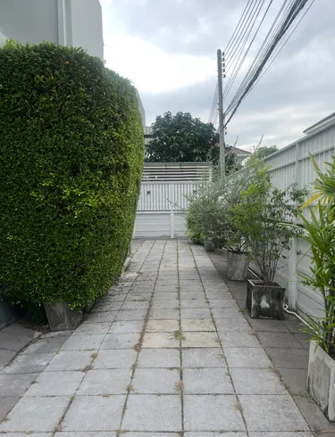 รูปภาพของThe valley Donmueng