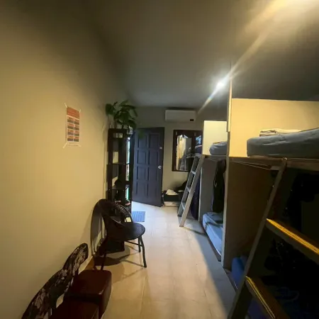 Noah’s Ark Cannabis Bar Restaurant Hostel