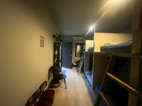 Noah’s Ark Cannabis Bar Restaurant Hostel