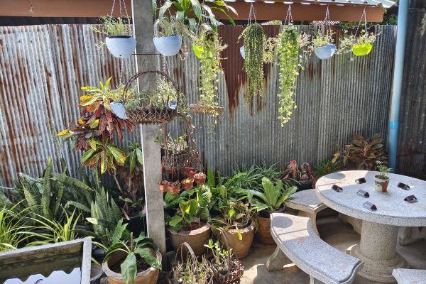A+ Hometel(A Plus Hometel - บ้านเอ๋ โฮมเทล)_1