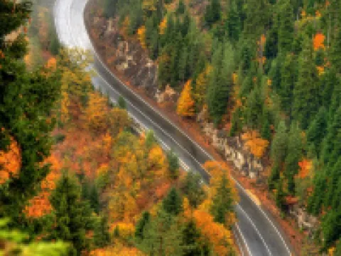 eco cottage for rent in Borjomi Hotels in Borjomi