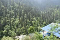 Limbo 咖啡館和客房