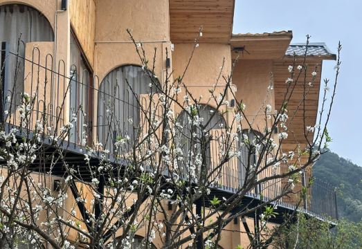 Phong Lai Homestay 전망