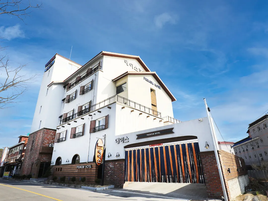 Yeoju Ace Hotel - 금왕읍