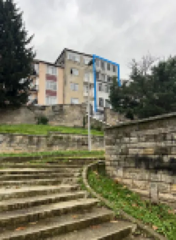 Park View