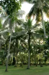 Kirindi Paddy Isle - Villas