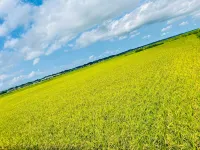 GOEMON The Last Japan Hotels in Miho