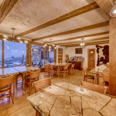 Alpine Castle Hotel