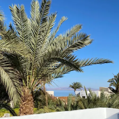Cozy 2Bedroom Apartment with Sea View Rooftop