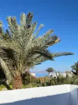 Cozy 2Bedroom Apartment with Sea View Rooftop - con vistas a la montaña