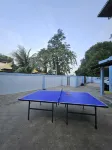 Blue Robin Homestay.