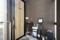 Yoshinaga B&B Snow - Villas