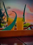 Aloe Transit Hotel Hotels in Seeduwa
