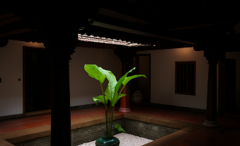 Seclude Karthika Nivas, Thrissur