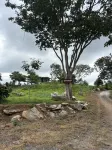Phu Man Mhok KhaoYai - 2-Star