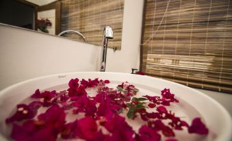 Stella Rina "Adults Only"