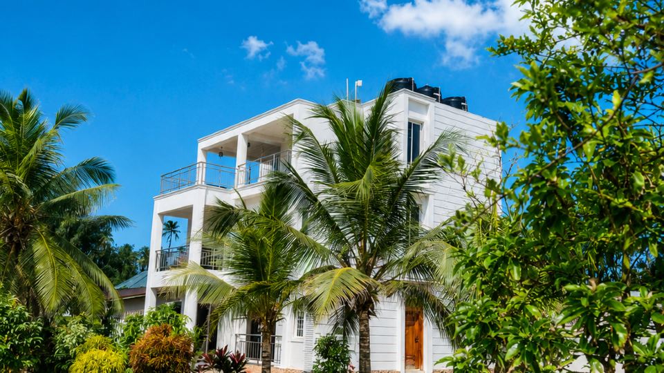 Palm Paradise