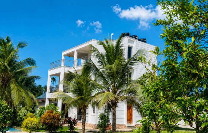 Palm Paradise