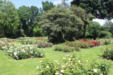 City Hotel Winschoten Отели в г. Схемда