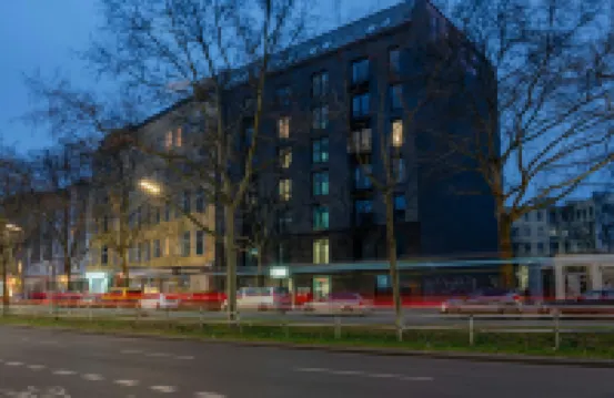 Homaris Kreuzberg 61